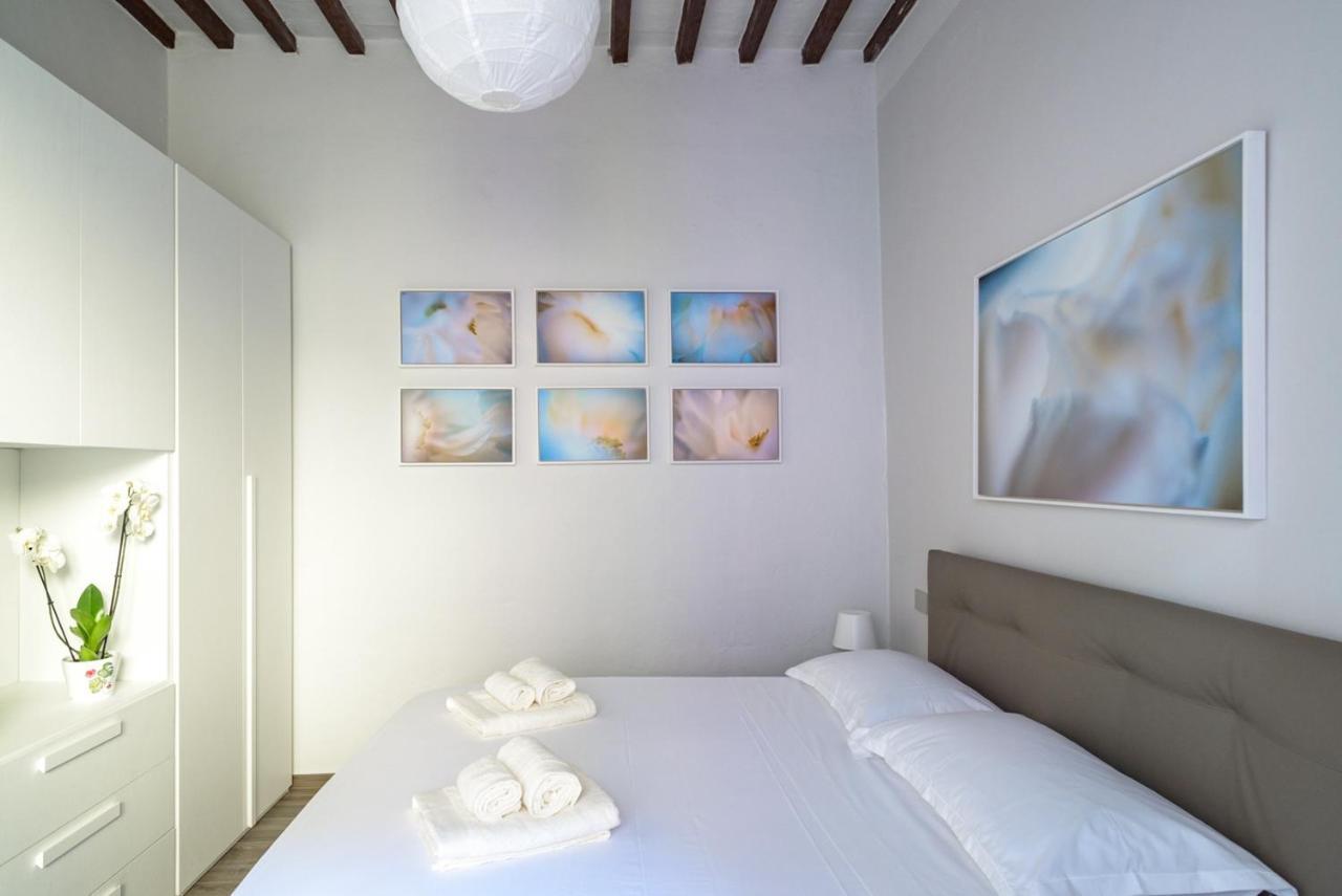 Pisa Art Apartment Exterior photo