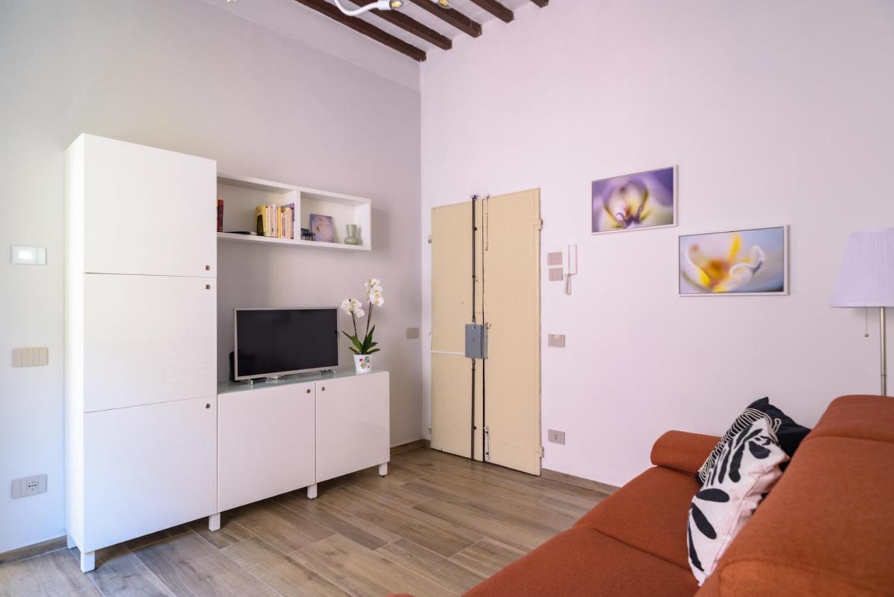 Pisa Art Apartment Exterior photo